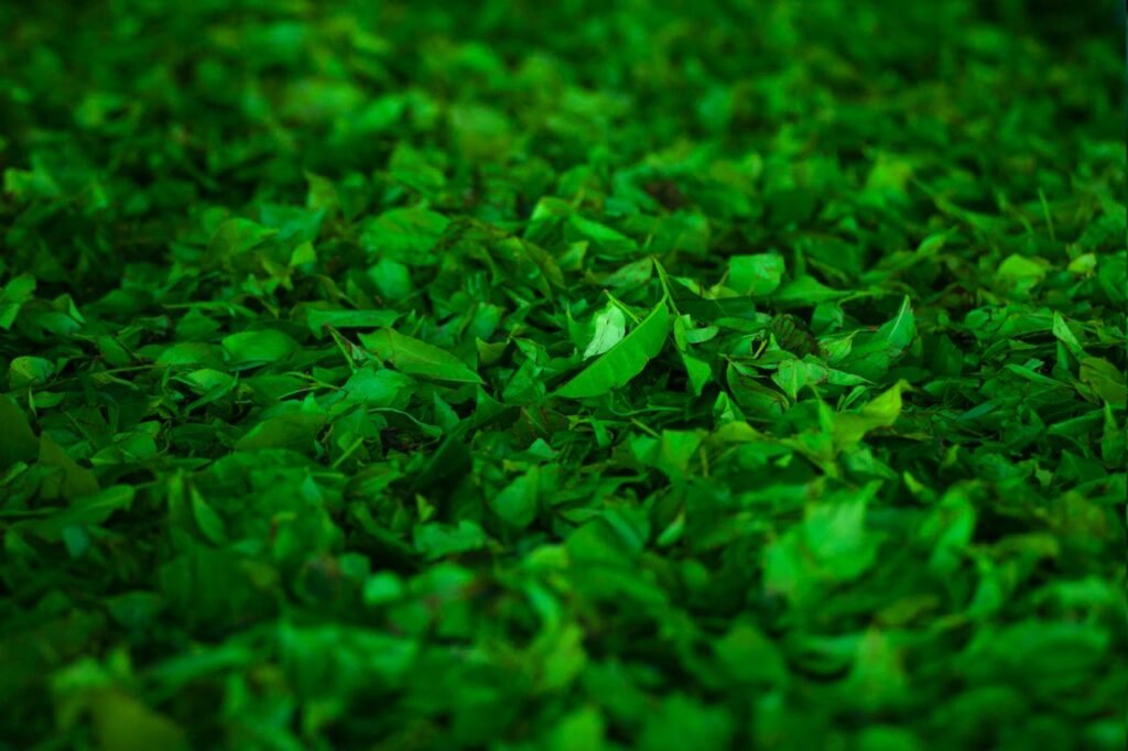 pexels-photo-322461-322461 pexels-photo-322461-322461.jpg